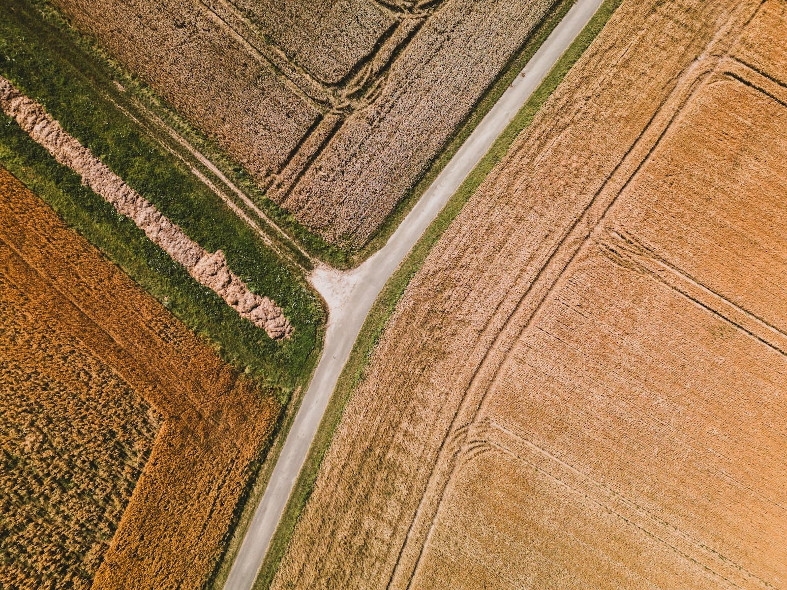 Aerial view of agricultural commodity fields divided by a road